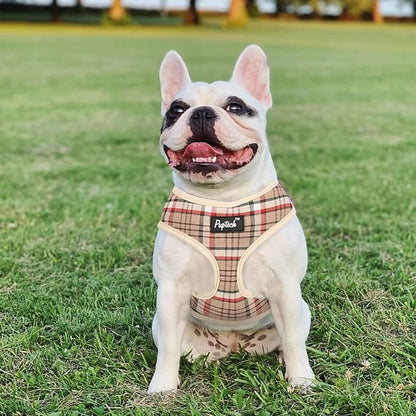 PUPTECK Soft Mesh Dog Harness and Leash Set Pet Puppy Cat Comfort Padded Vest No Pull Harnesses, Khaki, XS PUPTECK