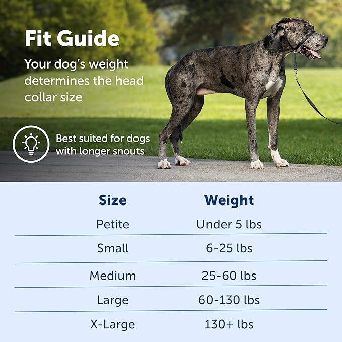 PetSafe Gentle Leader No-Pull Dog Headcollar - The Ultimate Solution to Pulling - Redirects Your Dog's Pulling for Easier Walks - Helps You Regain Control - X-Large, Black PetSafe