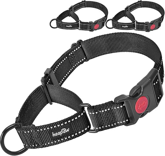haapaw 2 Packs Martingale Dog Collar with Quick Release Buckle Reflective Dog Training Collars for Small Medium Large Dogs haapaw