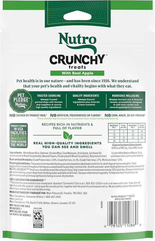 NUTRO Crunchy Dog Treats with Real Apple, 10 oz. Bag - PAWPICO