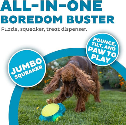 Outward Hound Tennis Maze Craze Interactive Squeaky Dog Toy, Green - PAWPICO