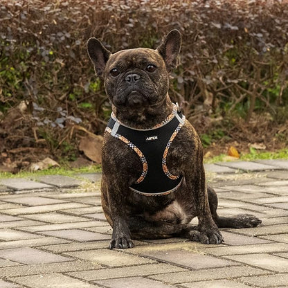 AMTOR Small Dog Harness with Leash Set, No Escape Easy Walk Puppy Harnesses for Training Walking, Step-in Reflective Soft Dogs Vest for XS S Medium Extra-Small Large Sized Dog(BlackYellow,L) - PAWPICO