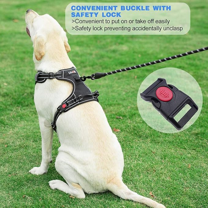 No Pull Dog Harness Adjustable Reflective Oxford Easy Control Medium Large Dog Harness with A Free Heavy Duty 5ft Dog Leash (XL (Neck: 21.5"-33", Chest: 30"-39.5"), Purple Harness+Leash) tobeDRI
