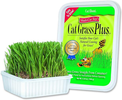 Miracle Care Cat-A'bout Cat Grass For Indoor Cats, 5.25 oz, Cat Grass Growing kit for all cats, Cat Grass Growing Kit Includes Potting Mix, Seeds, and Container MiracleCare