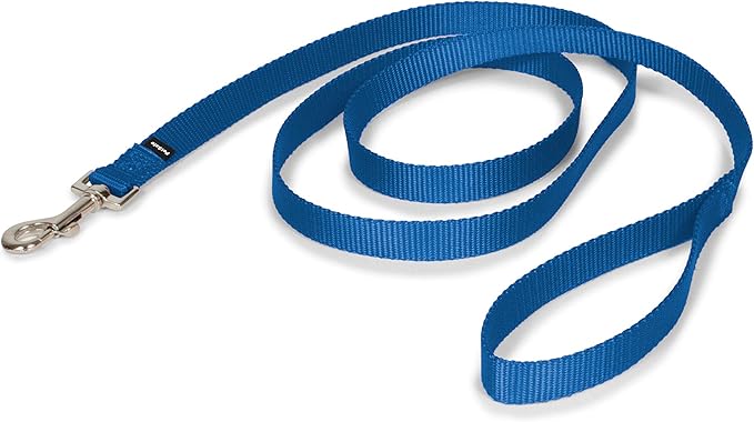 PetSafe Nylon Dog Leash - Strong, Durable, Traditional Style Leash with Easy to Use Bolt Snap - 3/4 in. x 6 ft., Royal Blue PetSafe