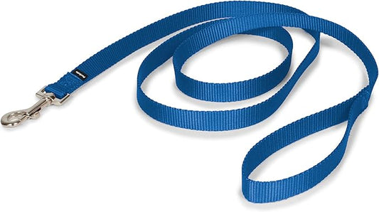 PetSafe Nylon Dog Leash - Strong, Durable, Traditional Style Leash with Easy to Use Bolt Snap - 3/4 in. x 6 ft., Royal Blue PetSafe