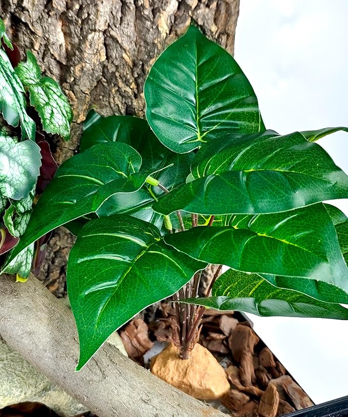 Woyrise Reptile Artificial Plants for Terrarium Decor, Amphibian Habitat Decorations Bearded Dragon Tank Accessories fit Crested Gecko Leopard Lizard Chameleon Ball Python Snake Frog - Fake Rohdea Woyrise