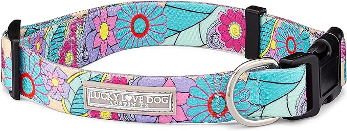 Lucky Love Dog - Adjustable Dog Collar with Easy Click Buckle for Small to Large Dogs, Durable, & Comfortable Collar for Male & Female Dogs, Pet Collar for Puppies & Adult Dogs - Caroline, XL LuckyLoveDog