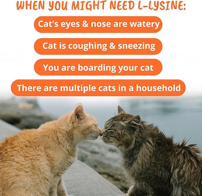 Under the Weather Pet Daily Cat L-Lysine | Boost Immune System Reduce Respiratory Symptoms | Maintain Normal Immune System Response | 60 Star Shaped Soft Chews UndertheWeather