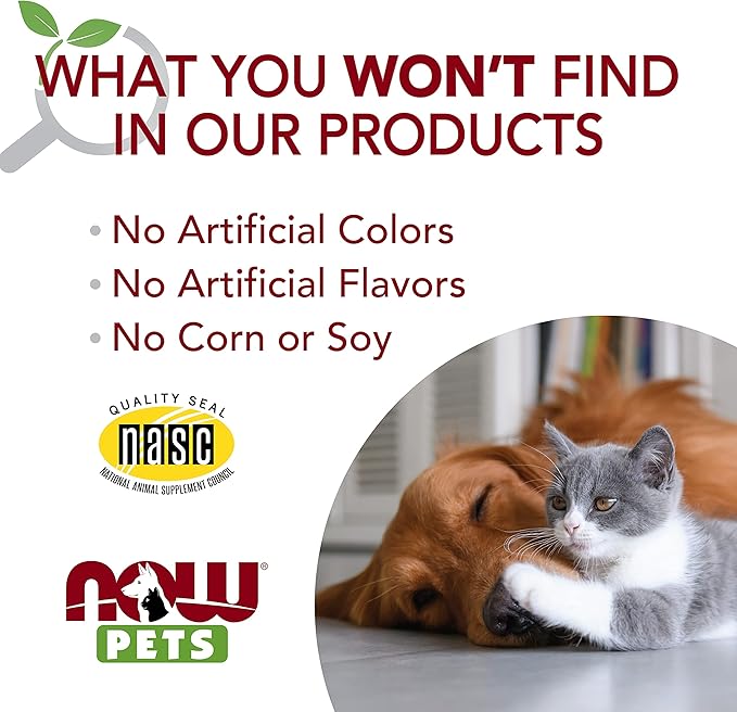 NOW Foods Pet Health, L-Lysine Supplement, Powder, Formulated for Cats, NASC Certified, 8-Ounce NOW