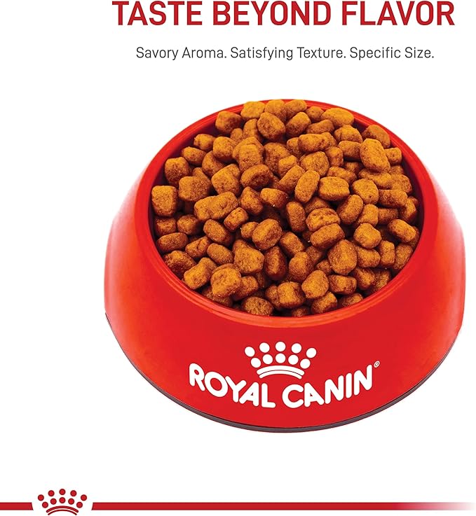 Royal Canin Yorkshire Terrier Adult Dry Dog Food, 2.5 lb bag - PAWPICO
