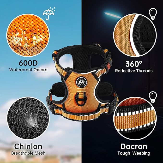 NESTROAD No Pull Dog Harness,Adjustable Oxford Dog Vest Harness with Leash,Reflective No-Choke Pet Harness with Easy Control Soft Handle for Small Dogs(Small,Orange) NESTROAD