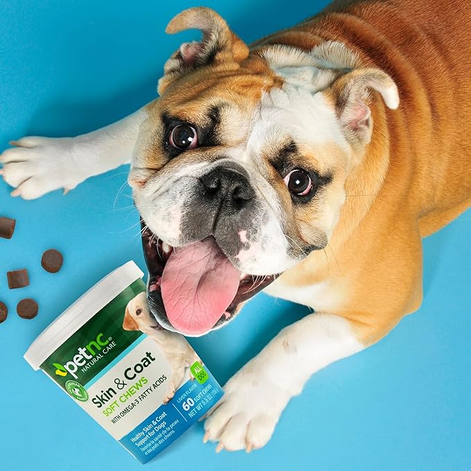 PetNC Natural Care Skin and Coat Soft Chews for Dogs, 60 Count VisitthePetnc