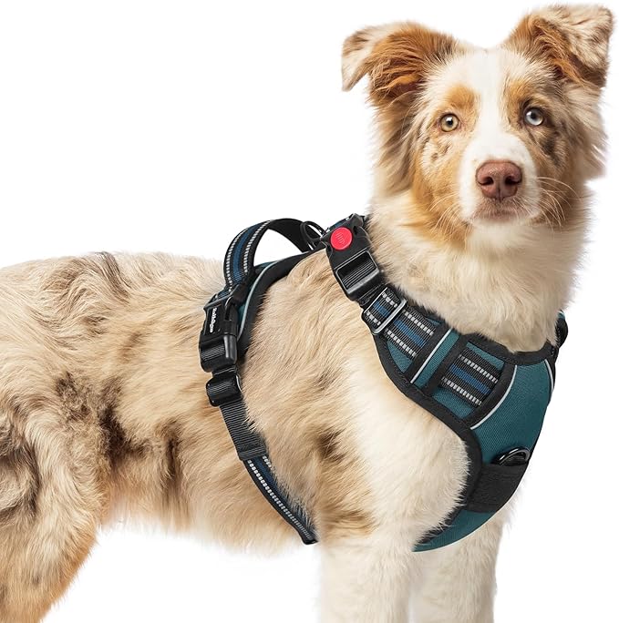 rabbitgoo Dog Harness Medium Sized, No Pull Pet Harness with 3 Buckles, Adjustable Soft Padded Pooch Vest with Instant Control Handle, Easy Walking Reflective Pet Vest for Medium Dogs, Blue Coral, M rabbitgoo