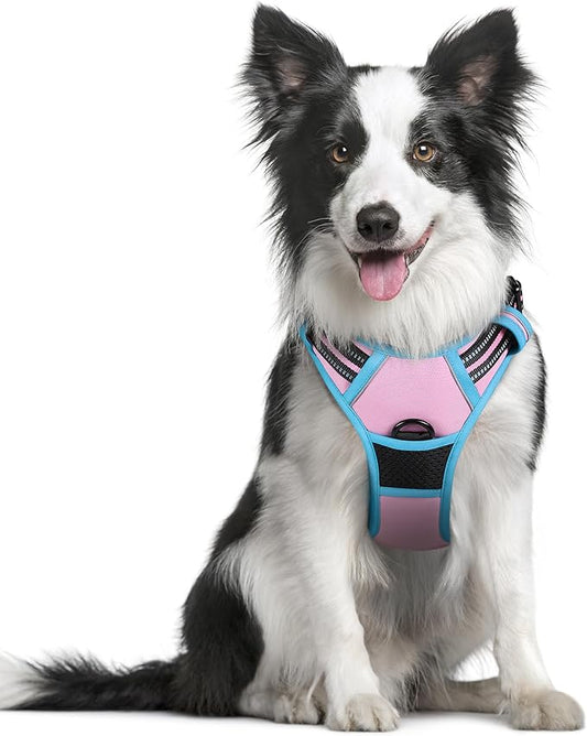 rabbitgoo Dog Harness No Pull with 2 Leash Clips, Adjustable Soft Padded, Reflective Oxford No Choke Pet Vest with Easy Control Handle for Medium Sized Dogs, Pink & Blue, M rabbitgoo