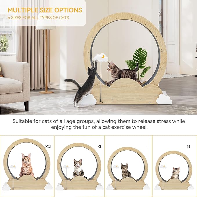 DWVO 37in Cat Exercise Wheel for Indoor Cats with Locking Mechanism, Natural Solid Wood Sturdy Cat Treadmill Wheel with Detachable Carpet, Suitable for Most Cats - PAWPICO