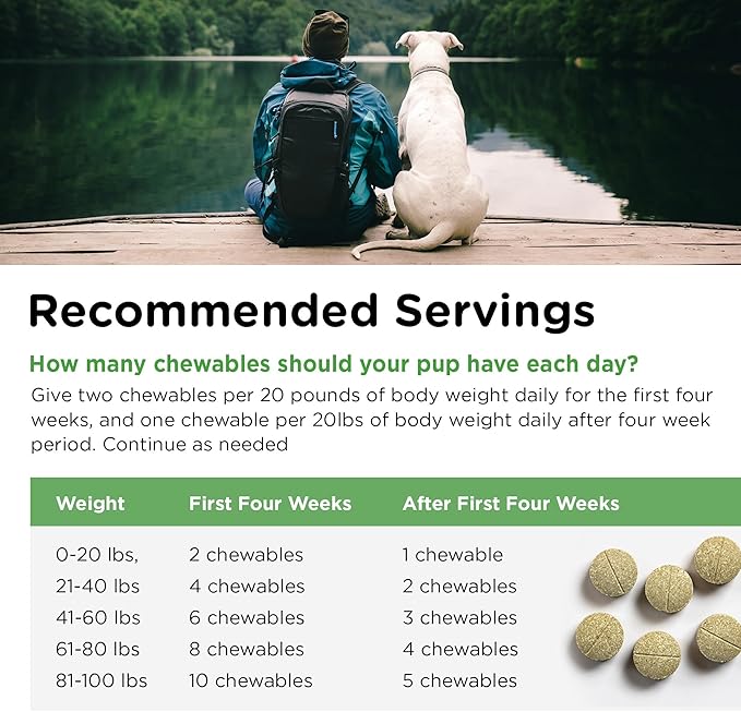 Nutri-Vet Grass Guard Chewables for Dogs - Made with Probiotics and Digestive Enzymes - Prevent Lawn Burn from Urine - 150 Count Nutri-Vet