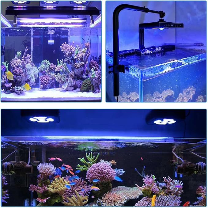Aquarium Lights-100 watt 5 Channels Sunrise Sunset Moonlight Reef Lights for Coral SPS LPS Saltwater Tank(Black) HIPARGERO