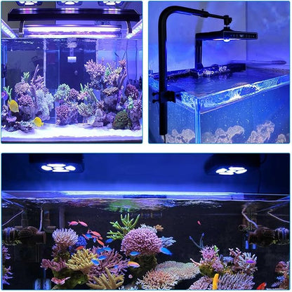 Aquarium Lights-100 watt 5 Channels Sunrise Sunset Moonlight Reef Lights for Coral SPS LPS Saltwater Tank(Black) HIPARGERO