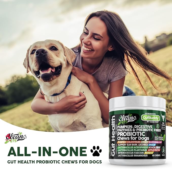 Probiotics for Dogs | Pumpkin Dog Probiotic Gut Health Diarrhea & Bowel Support | Colostrum, Digestive Enzymes, Ginger, Slippery Elm, Licorice, Inulin Fiber | Dog Supplement by Clean Pets - 1Pack CleanPets