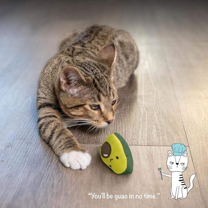 Catstages Lil' Avocato Dental Health Catnip Cat Chew Toy - PAWPICO