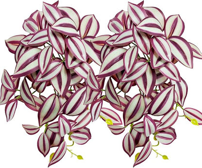 Woyrise 2 Pack Reptile Plants, Terrarium Hanging Plant Vines, Artificial Leaves with Suction Cup, Bearded Dragon Tank Accessories for Gecko Lizard Snake Frog Tortoise Decorations - Zebrina Purple Woyrise