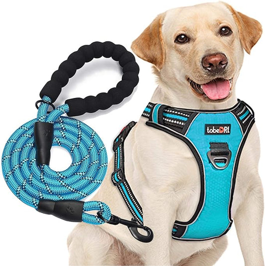 tobeDRI No Pull Dog Harness Adjustable Reflective Oxford Easy Control Medium Large Dog Harness with A Free Heavy Duty 5ft Dog Leash (M (Neck: 14.5"-20.5", Chest: 22"-28"), Blue Harness+Leash) - PAWPICO