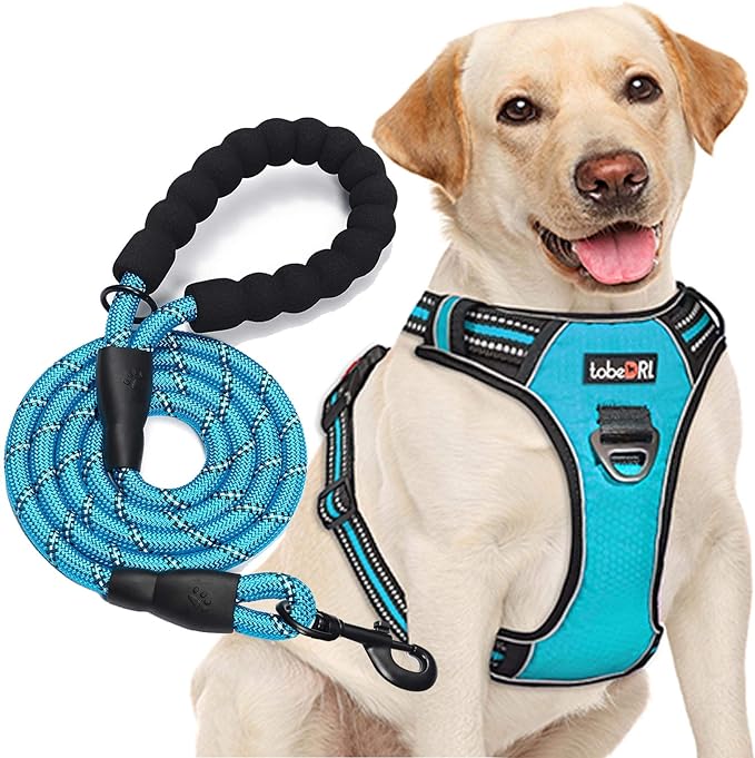 No Pull Dog Harness Adjustable Reflective Oxford Easy Control Medium Large Dog Harness with A Free Heavy Duty 5ft Dog Leash tobeDRI