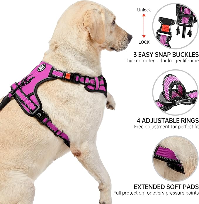 NESTROAD No Pull Dog Harness,Adjustable Oxford Dog Vest Harness with Leash,Reflective No-Choke Pet Harness with Easy Control Soft Handle for Small Medium Dogs(Medium,Fuchsia Pink) NESTROAD