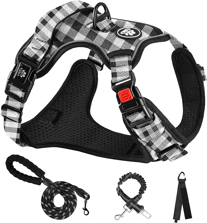 NESTROAD Dog Harness (Checkered Black,S) with Leash, Reflective, Adjustable, Soft Padded, Easy Control Handle, for Small Dogs, Front & Rear Clip Design NESTROAD