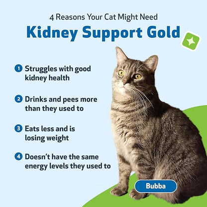Pet Wellbeing Kidney Support Gold for Cats - Supports Healthy Kidney Function, Fluid Balance, Energy Levels, Rehmannia, Dong Quai - Veterinarian-Formulated Herbal Supplement 2 oz (59 ml) PetWellbeing