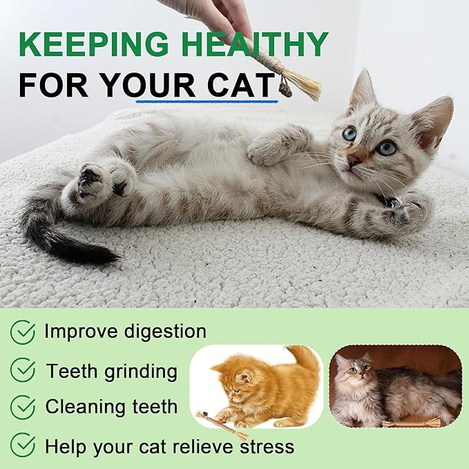 Cat Toy (6 PCS) Silver Rattan Stick Catnip Stick Cat Training Toy Cat Chew Stick Indoor Cat Interactive Toy Cat Tooth Cleaning Toy Cat Wooden Tooth Stick Cat Game - PAWPICO