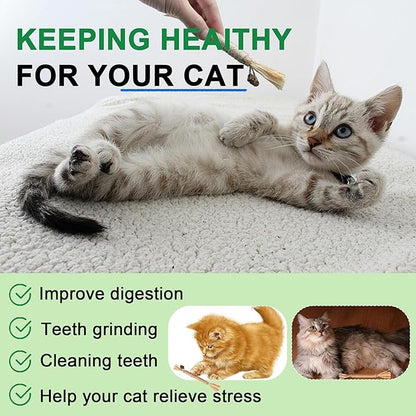 Cat Toy (6 PCS) Silver Rattan Stick Catnip Stick Cat Training Toy Cat Chew Stick Indoor Cat Interactive Toy Cat Tooth Cleaning Toy Cat Wooden Tooth Stick Cat Game - PAWPICO
