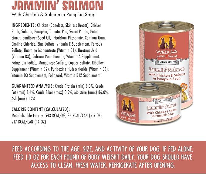 Weruva Classic Dog Food, Jammin' Salmon with Chicken & Salmon in Gravy, 5.5oz Can (Pack of 24) - PAWPICO