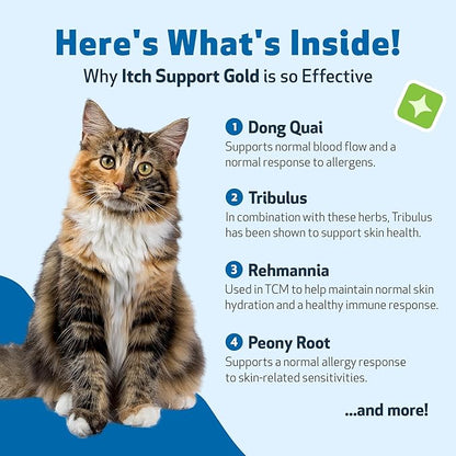 Pet Wellbeing Itch Support Gold for Cats - Occasional Itching, Scratching, and Hot Spots, Environmental and Seasonal Allergies, Dong Quai - Veterinarian-Formulated Herbal Supplement 4 oz (118 ml) PetWellbeing