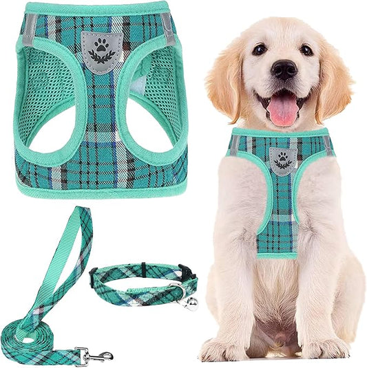 PUPTECK Adjustable Dog Harness Collar and Leash Set Step in No Pull Pet Harness for Small Medium Dogs Puppy and Cats Outdoor Walking Running, Soft Mesh Padded Reflective Vest Harnesses, Lake Green M PUPTECK