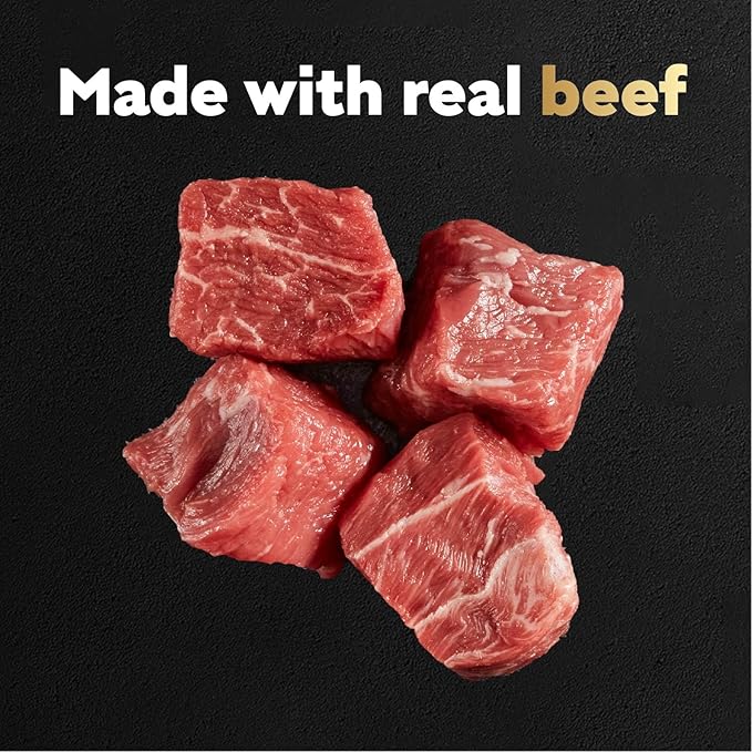 Cesar Filets in Gravy Wet Dog Food Filet Mignon Flavor, 1.76 oz. Mini-Pouch, 20 Pack - PAWPICO