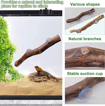 kathson Reptile Corner Branch Tank Habitat Decorations Bearded Dragons Plants Hanging Plastic Fake Climbing Terrarium Plant Decor for Amphibian Lizards Crested Gecko Snake Hermit Crab Frogs 3Pcs kathson