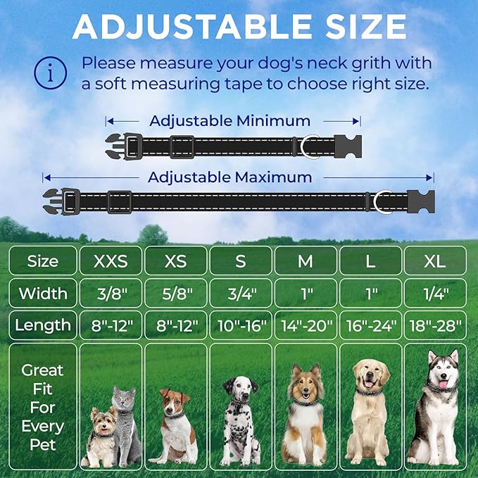 TECEUM Reflective Pet Collar – Black – S – Basic Nylon Dog Collar – Quick Release Buckle – Fits Small, Medium and Large Dogs, Puppies, Cats – ESA & Service Dog Options TECEUM