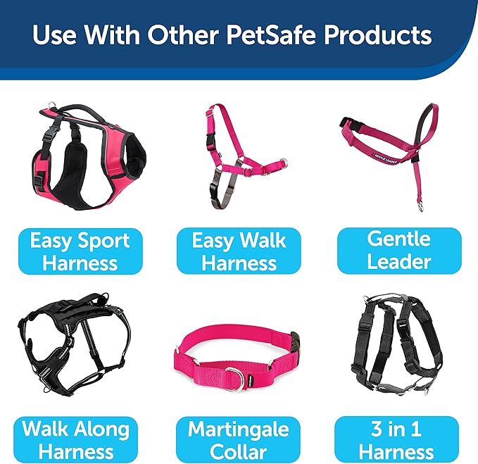 PetSafe Nylon Dog Leash – Strong, Durable, Traditional Style Leash with Easy to Use Bolt Snap for Small, Medium and Large Dogs - 3/4 in. x 6 ft., Raspberry PetSafe