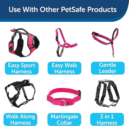 PetSafe Nylon Dog Leash – Strong, Durable, Traditional Style Leash with Easy to Use Bolt Snap for Small, Medium and Large Dogs - 3/4 in. x 6 ft., Raspberry PetSafe