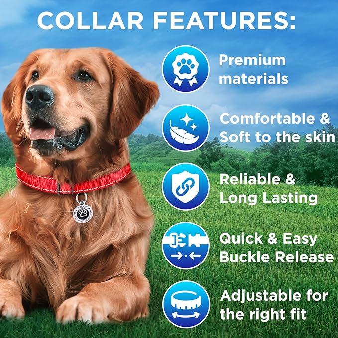 TECEUM Reflective Pet Collar – Red – XL – Basic Nylon Dog Collar – Quick Release Buckle – Fits Small, Medium and Large Dogs, Puppies, Cats – ESA & Service Dog Options TECEUM