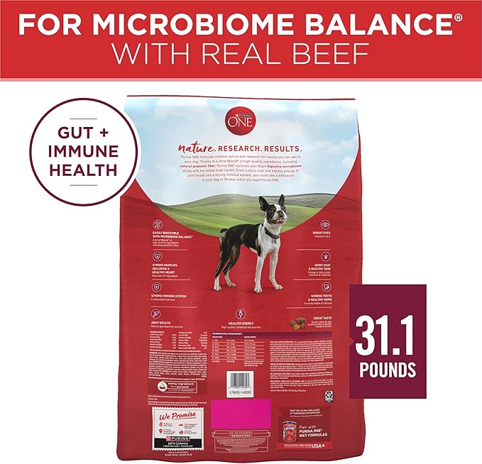 Purina ONE Small Bites Beef and Rice Formula Small High Protein Dry Dog Food Natural with Added Vitamins, Minerals and Nutrients - 31.1 lb. Bag - PAWPICO