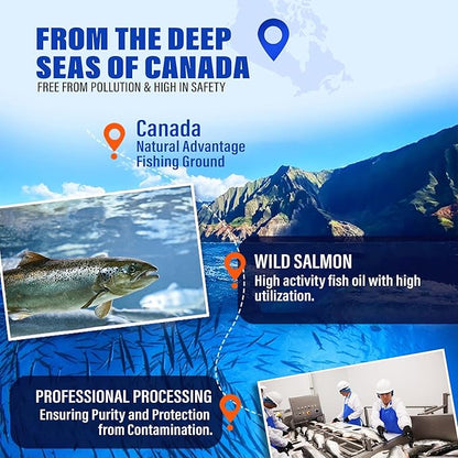 95% Omega 3 Fish Oil for Dogs & Cats, Vet-Formulated with RTG Processed Salmon Oil, Maximum EPA & DHA, Supports Heart, Skin, Coat, Joint，Heart & Immune Health, 100 Soft Gels PAWPICO