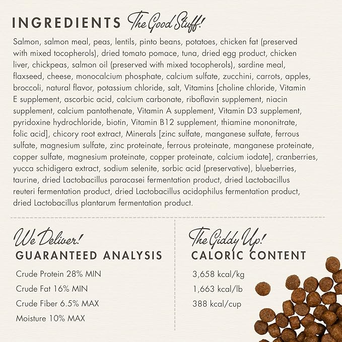 Fromm Four-Star Salmon Tunalini Dog Food, 26 Lb - PAWPICO