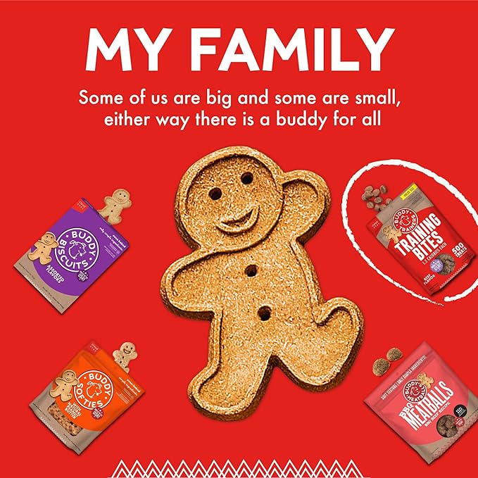 Buddy Biscuits Trainers Training Bites Soft & Chewy Dog Treats, Beef, 10 oz. Pouch - PAWPICO