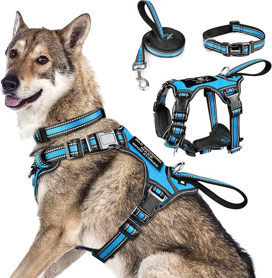 WINSEE Pet Harness Collar and Leash Set, All-in-one Reflective Dog Harness No Pull with Adjustable Buckles for Puppies, Small, Medium, Large, and Extra-Large Dogs (X-Large, Blue) WINSEE