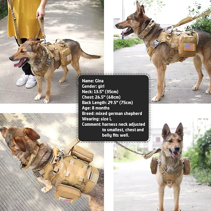 Forestpaw Tactical Dog Harness for Large Dogs,Tactical Dog Collar with Bungee Leash Set,No Pull Military Dog Harness for Dog Walking Training,Adjustable for Medium Large Dogs,Khaki S Forestpaw