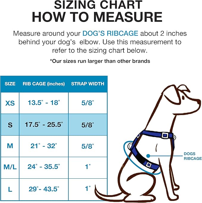 Blue-9 Buckle-Neck Balance Harness, Fully Customizable Fit No-Pull Harness, Ideal for Dog Training and Obedience, Made in The USA, Blue, Small Blue-9