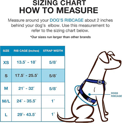 Blue-9 Buckle-Neck Balance Harness, Fully Customizable Fit No-Pull Harness, Ideal for Dog Training and Obedience, Made in The USA, Sky Blue, Small Blue-9